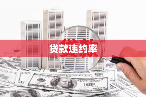 青山湖贷款违约率