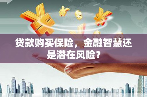 青山湖贷款购买保险，金融智慧还是潜在风险？