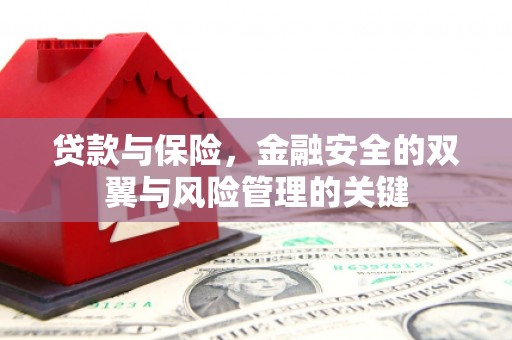 青山湖贷款与保险，金融安全的双翼与风险管理的关键