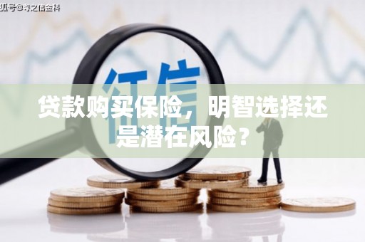 青山湖贷款购买保险，明智选择还是潜在风险？