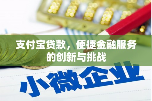 青山湖支付宝贷款，便捷金融服务的创新与挑战