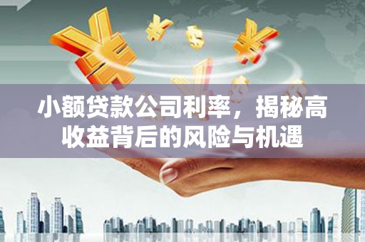 青山湖小额贷款公司利率，揭秘高收益背后的风险与机遇
