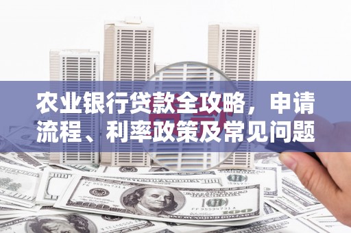 青山湖农业银行贷款全攻略，申请流程、利率政策及常见问题解析