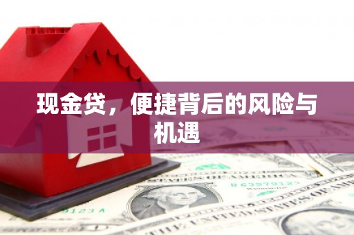 青山湖现金贷，便捷背后的风险与机遇