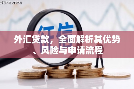 青山湖外汇贷款，全面解析其优势、风险与申请流程