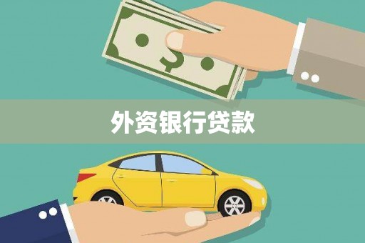 青山湖外资银行贷款
