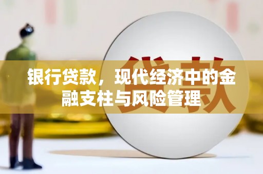 青山湖银行贷款，现代经济中的金融支柱与风险管理