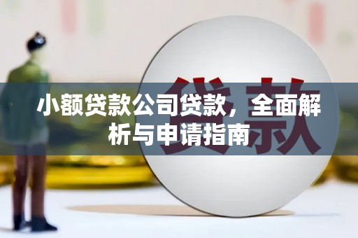 青山湖小额贷款公司贷款，全面解析与申请指南