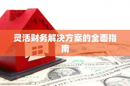 青山湖灵活财务解决方案的全面指南