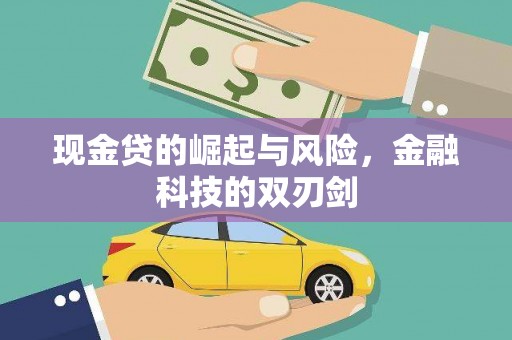 青山湖现金贷的崛起与风险，金融科技的双刃剑