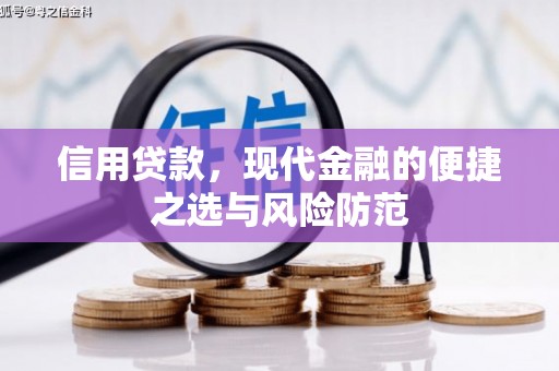 青山湖信用贷款，现代金融的便捷之选与风险防范