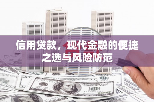 青山湖信用贷款，现代金融的便捷之选与风险防范