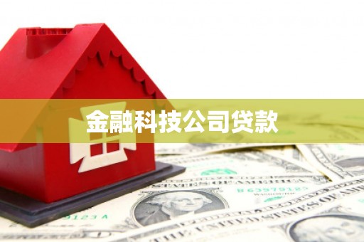 青山湖金融科技公司贷款