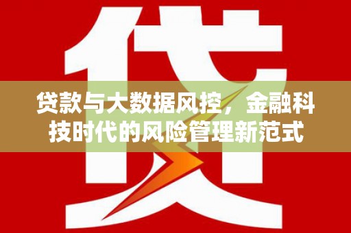 青山湖贷款与大数据风控，金融科技时代的风险管理新范式