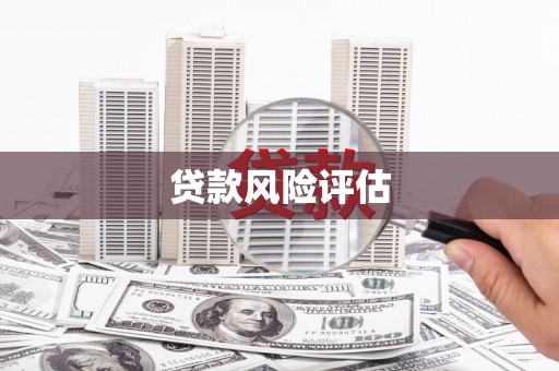 青山湖贷款风险评估
