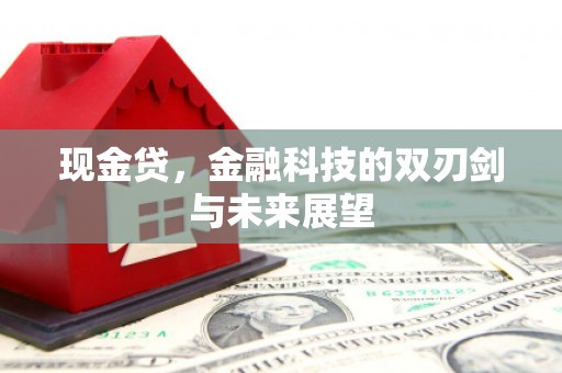 青山湖现金贷，金融科技的双刃剑与未来展望