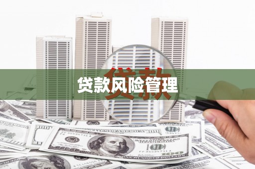 青山湖贷款风险管理