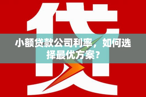 青山湖小额贷款公司利率，如何选择最优方案？