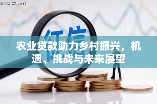青山湖农业贷款助力乡村振兴，机遇、挑战与未来展望