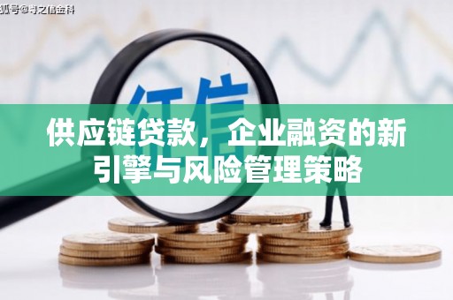 青山湖供应链贷款，企业融资的新引擎与风险管理策略