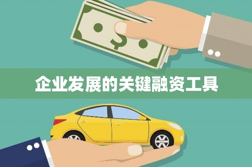 青山湖企业发展的关键融资工具