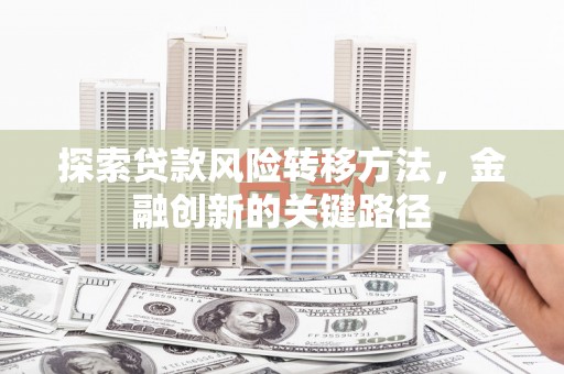 青山湖探索贷款风险转移方法，金融创新的关键路径