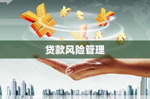 青山湖贷款风险管理