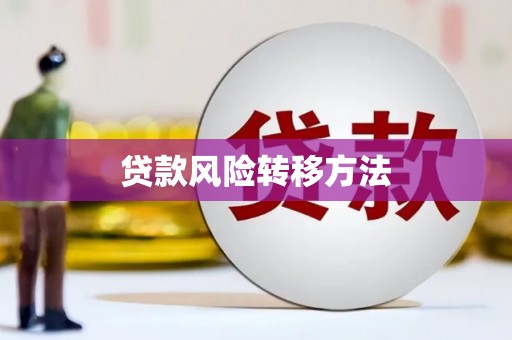 青山湖贷款风险转移方法