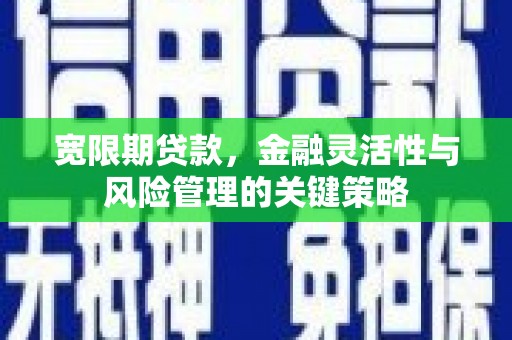 青山湖宽限期贷款，金融灵活性与风险管理的关键策略