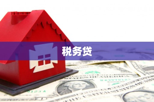 青山湖税务贷