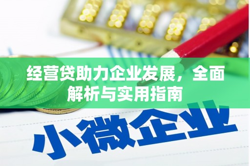青山湖经营贷助力企业发展，全面解析与实用指南