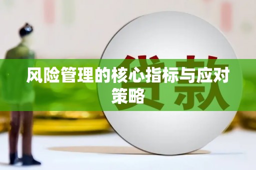 青山湖风险管理的核心指标与应对策略