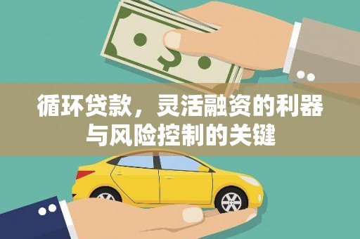 青山湖循环贷款，灵活融资的利器与风险控制的关键