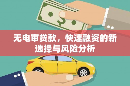 青山湖无电审贷款，快速融资的新选择与风险分析