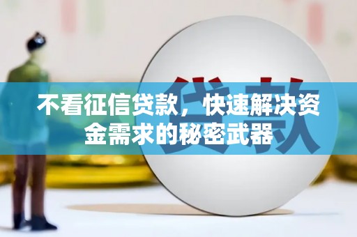 青山湖不看征信贷款，快速解决资金需求的秘密武器