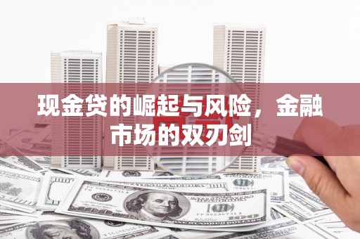 青山湖现金贷的崛起与风险，金融市场的双刃剑