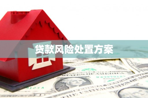 青山湖贷款风险处置方案