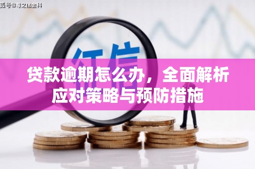 青山湖贷款逾期怎么办，全面解析应对策略与预防措施