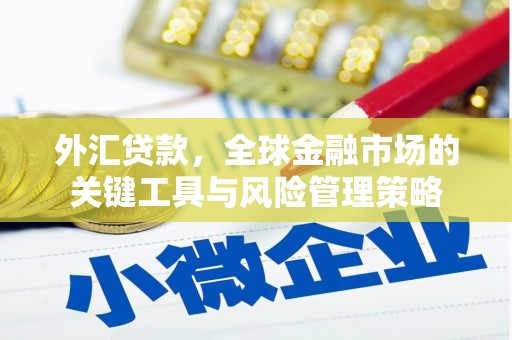 青山湖外汇贷款，全球金融市场的关键工具与风险管理策略
