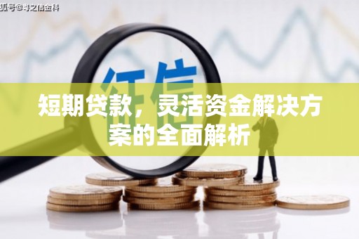 青山湖短期贷款，灵活资金解决方案的全面解析