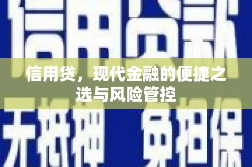 青山湖信用贷，现代金融的便捷之选与风险管控