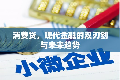青山湖消费贷，现代金融的双刃剑与未来趋势