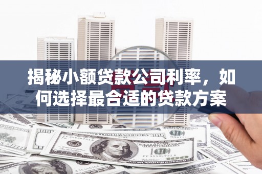 青山湖揭秘小额贷款公司利率，如何选择最合适的贷款方案