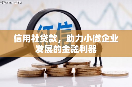 青山湖信用社贷款，助力小微企业发展的金融利器