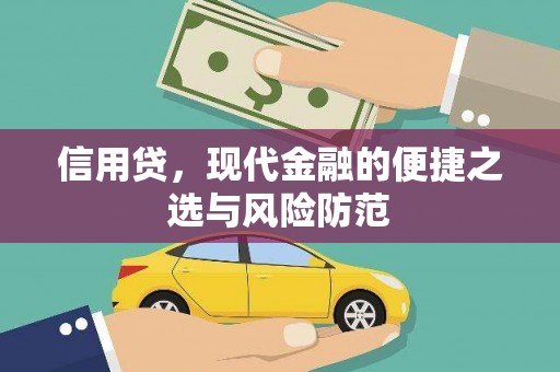 青山湖信用贷，现代金融的便捷之选与风险防范