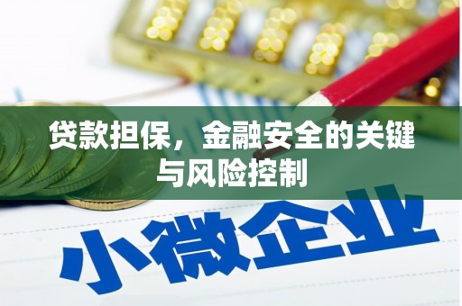 青山湖贷款担保，金融安全的关键与风险控制