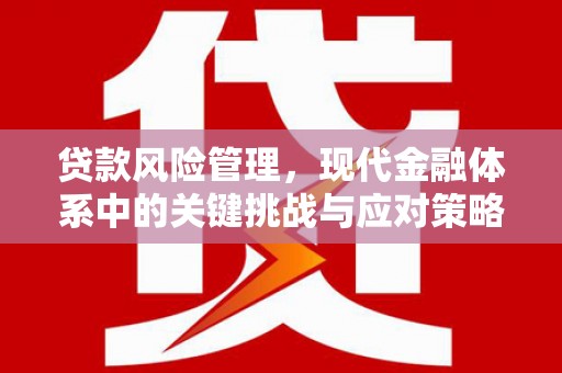 青山湖贷款风险管理，现代金融体系中的关键挑战与应对策略