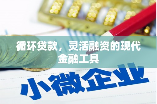 青山湖循环贷款，灵活融资的现代金融工具