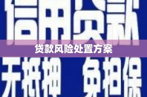 青山湖贷款风险处置方案