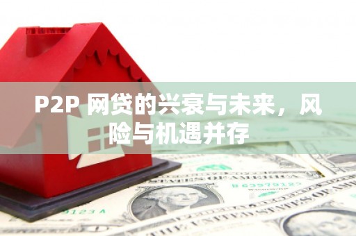 青山湖P2P 网贷的兴衰与未来，风险与机遇并存